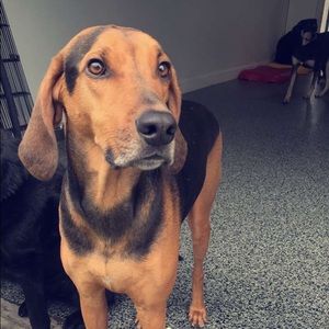 Meet your Posher, David